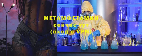 ПСИЛОЦИБИНОВЫЕ ГРИБЫ Дмитриев