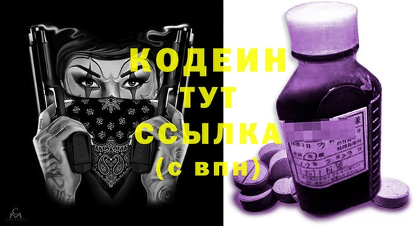 ПСИЛОЦИБИНОВЫЕ ГРИБЫ Дмитриев