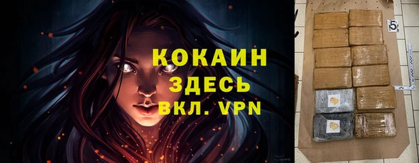 хмурый Дмитровск