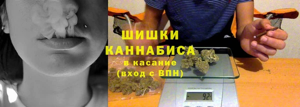 ПСИЛОЦИБИНОВЫЕ ГРИБЫ Дмитриев