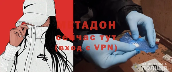 ПСИЛОЦИБИНОВЫЕ ГРИБЫ Дмитриев