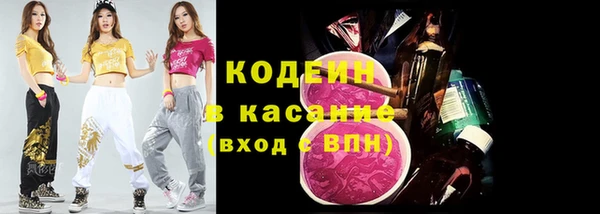ПСИЛОЦИБИНОВЫЕ ГРИБЫ Дмитриев