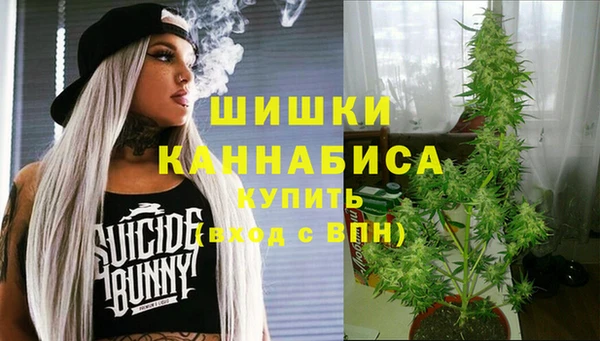хмурый Дмитровск