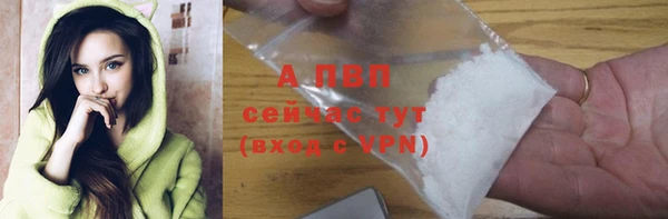 ПСИЛОЦИБИНОВЫЕ ГРИБЫ Дмитриев