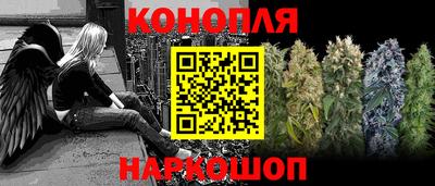 амф Бердск