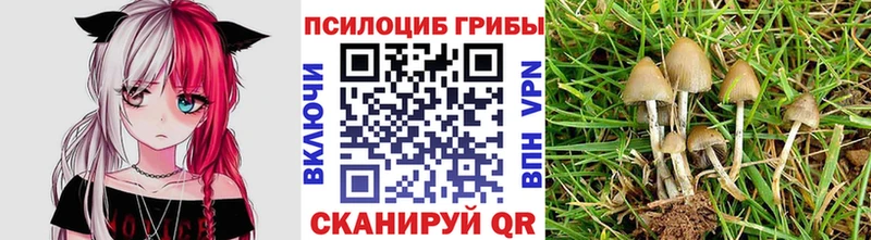 Галлюциногенные грибы прущие грибы  мега ссылки  Туймазы  где продают  